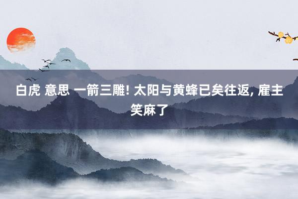 白虎 意思 一箭三雕! 太阳与黄蜂已矣往返， 雇主笑麻了