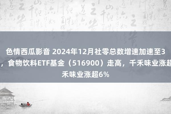 色情西瓜影音 2024年12月社零总数增速加速至3.7%，食物饮料ETF基金（516900）走高，千禾味业涨超6%