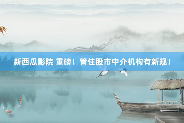 新西瓜影院 重磅！管住股市中介机构有新规！