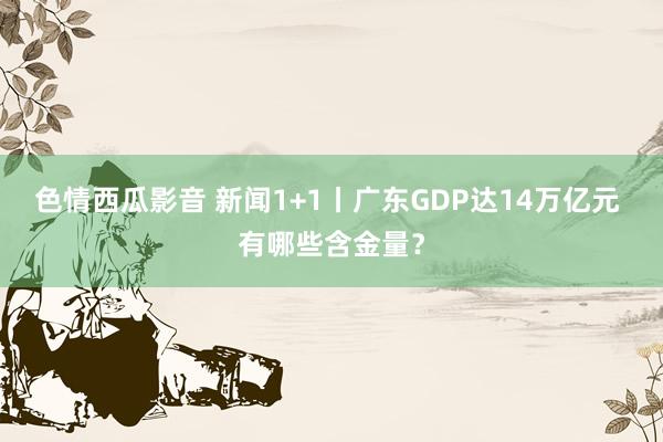 色情西瓜影音 新闻1+1丨广东GDP达14万亿元 有哪些含金量？
