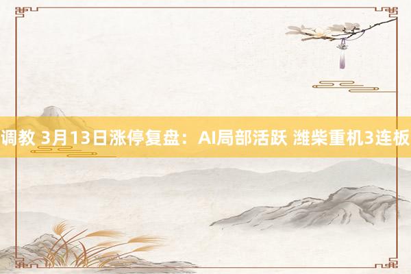 调教 3月13日涨停复盘:AI局部活跃 潍柴重机3连板