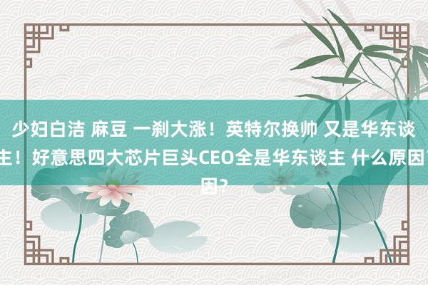 少妇白洁 麻豆 一刹大涨！英特尔换帅 又是华东谈主！好意思四大芯片巨头CEO全是华东谈主 什么原因？