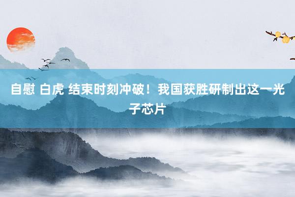 自慰 白虎 结束时刻冲破！我国获胜研制出这一光子芯片