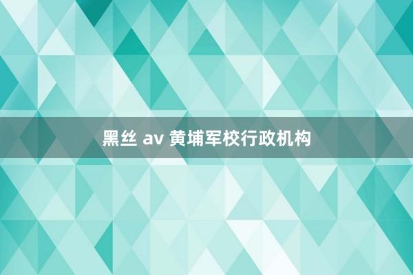 黑丝 av 黄埔军校行政机构