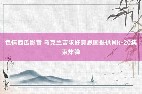 色情西瓜影音 乌克兰苦求好意思国提供Mk-20集束炸弹