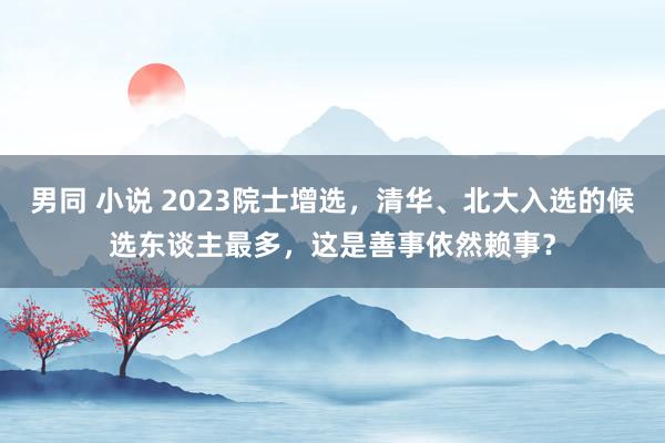 男同 小说 2023院士增选，清华、北大入选的候选东谈主最多，这是善事依然赖事？