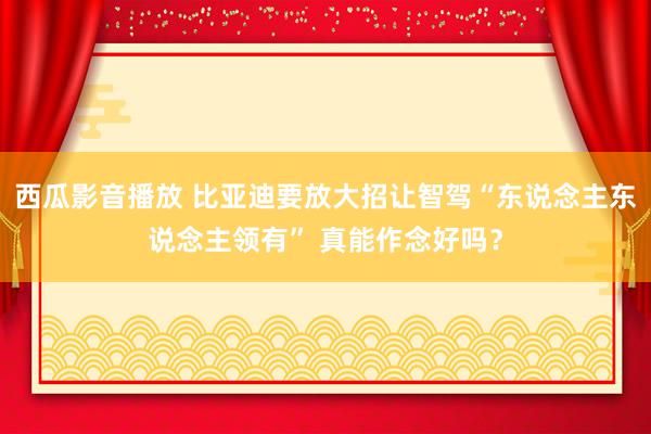 西瓜影音播放 比亚迪要放大招让智驾“东说念主东说念主领有” 真能作念好吗？