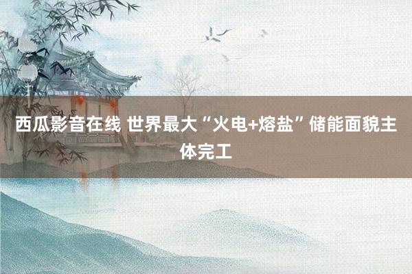 西瓜影音在线 世界最大“火电+熔盐”储能面貌主体完工