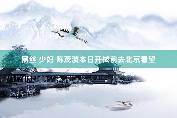 黑丝 少妇 陈茂波本日开拔前去北京看望