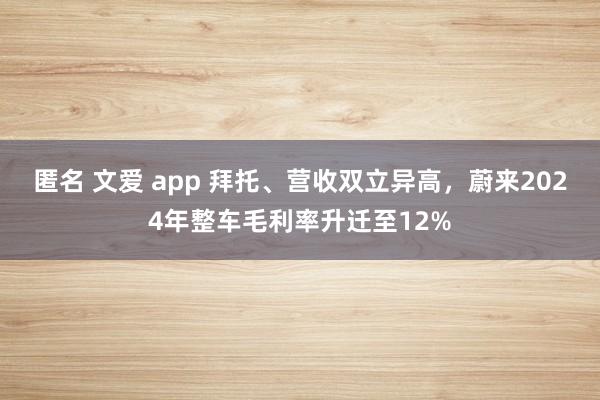 匿名 文爱 app 拜托、营收双立异高，蔚来2024年整车毛利率升迁至12%