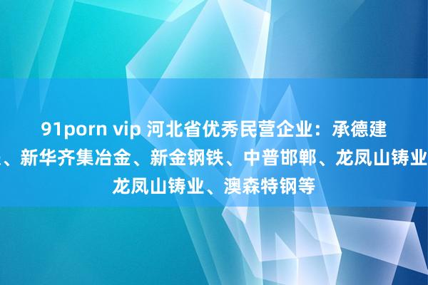 91porn vip 河北省优秀民营企业：承德建龙、津西钢铁、新华齐集冶金、新金钢铁、中普邯郸、龙凤山铸业、澳森特钢等