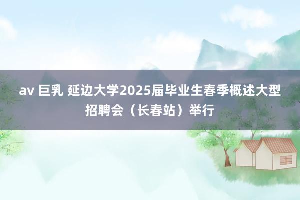 av 巨乳 延边大学2025届毕业生春季概述大型招聘会（长春站）举行
