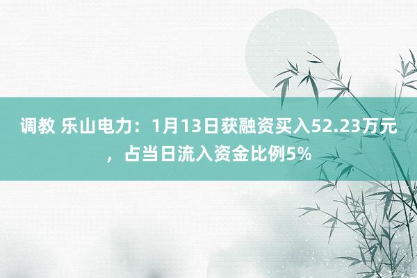 调教 乐山电力：1月13日获融资买入52.23万元，占当日流入资金比例5%