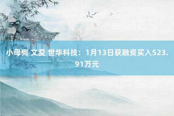 小母狗 文爱 世华科技：1月13日获融资买入523.91万元