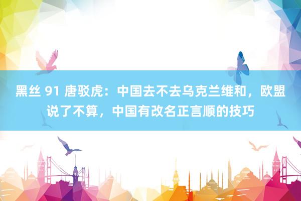 黑丝 91 唐驳虎：中国去不去乌克兰维和，欧盟说了不算，中国有改名正言顺的技巧
