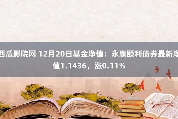 西瓜影院网 12月20日基金净值：永赢颐利债券最新净值1.1436，涨0.11%