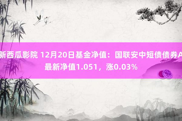 新西瓜影院 12月20日基金净值：国联安中短债债券A最新净值1.051，涨0.03%