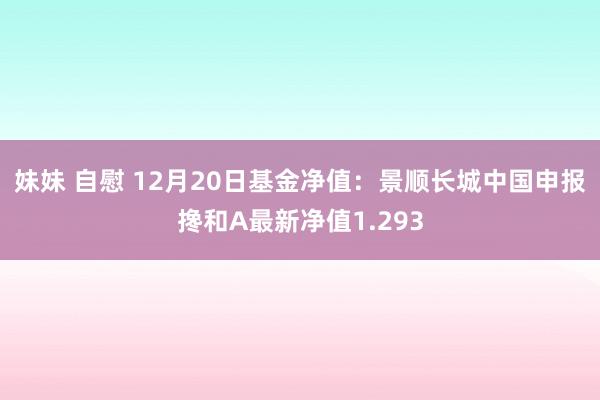 妹妹 自慰 12月20日基金净值：景顺长城中国申报搀和A最新净值1.293
