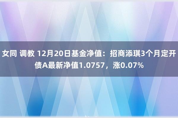 女同 调教 12月20日基金净值：招商添琪3个月定开债A最新净值1.0757，涨0.07%