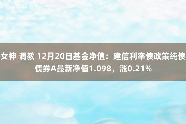 女神 调教 12月20日基金净值：建信利率债政策纯债债券A最新净值1.098，涨0.21%