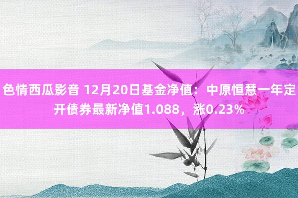 色情西瓜影音 12月20日基金净值：中原恒慧一年定开债券最新净值1.088，涨0.23%