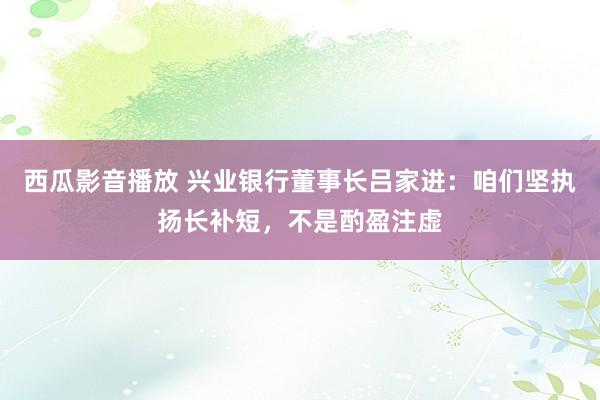西瓜影音播放 兴业银行董事长吕家进：咱们坚执扬长补短，不是酌盈注虚