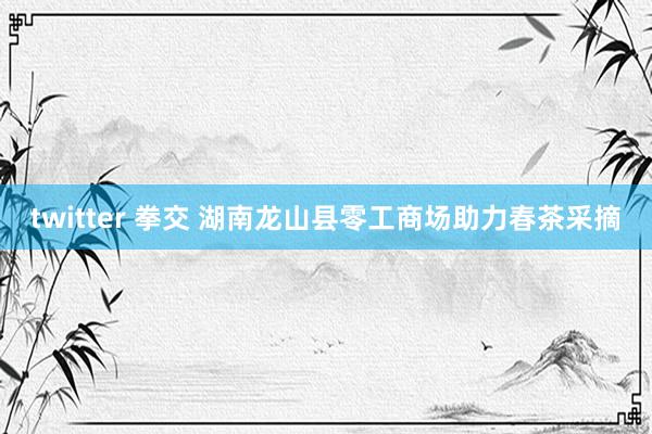 twitter 拳交 湖南龙山县零工商场助力春茶采摘