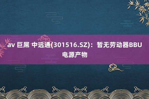 av 巨屌 中远通(301516.SZ)：暂无劳动器BBU电源产物