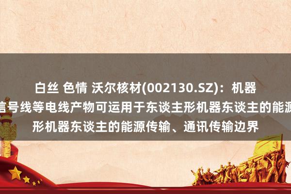白丝 色情 沃尔核材(002130.SZ)：机器东谈干线、电子线、信号线等电线产物可运用于东谈主形机器东谈主的能源传输、通讯传输边界