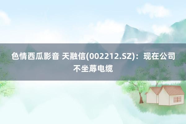 色情西瓜影音 天融信(002212.SZ)：现在公司不坐蓐电缆