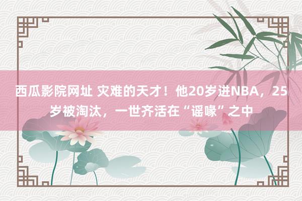 西瓜影院网址 灾难的天才！他20岁进NBA，25岁被淘汰，一世齐活在“谣喙”之中