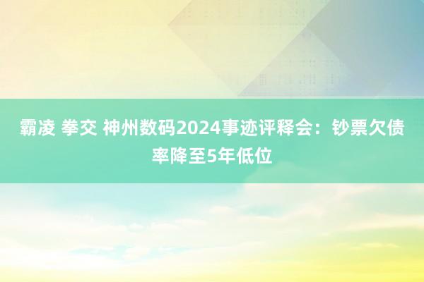 霸凌 拳交 神州数码2024事迹评释会：钞票欠债率降至5年低位