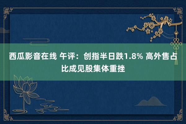 西瓜影音在线 午评：创指半日跌1.8% 高外售占比成见股集体重挫