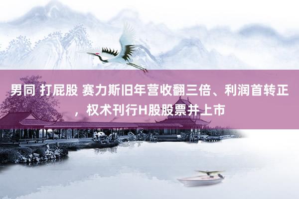 男同 打屁股 赛力斯旧年营收翻三倍、利润首转正，权术刊行H股股票并上市
