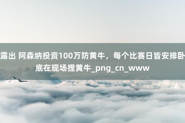 露出 阿森纳投资100万防黄牛，每个比赛日皆安排卧底在现场捏黄牛_png_cn_www