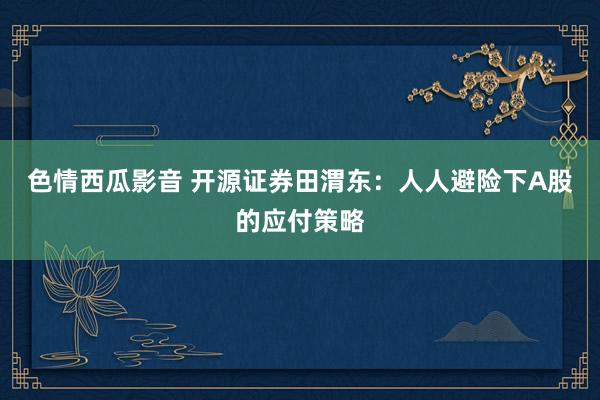 色情西瓜影音 开源证券田渭东：人人避险下A股的应付策略