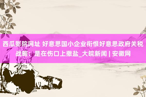 西瓜影院网址 好意思国小企业衔恨好意思政府关税战略：是在伤口上撒盐_大皖新闻 | 安徽网