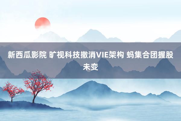新西瓜影院 旷视科技撤消VIE架构 蚂集合团握股未变