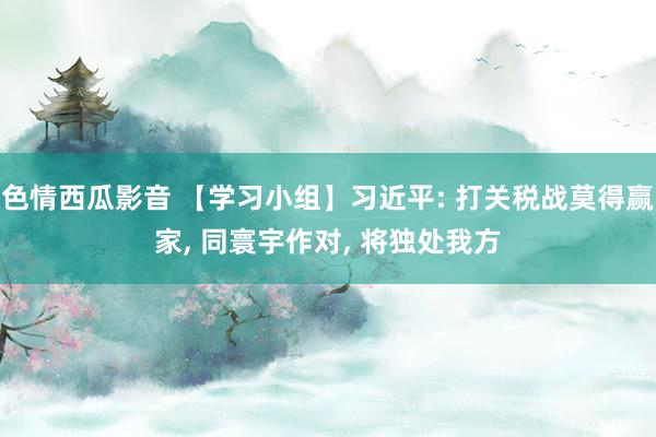 色情西瓜影音 【学习小组】习近平: 打关税战莫得赢家， 同寰宇作对， 将独处我方