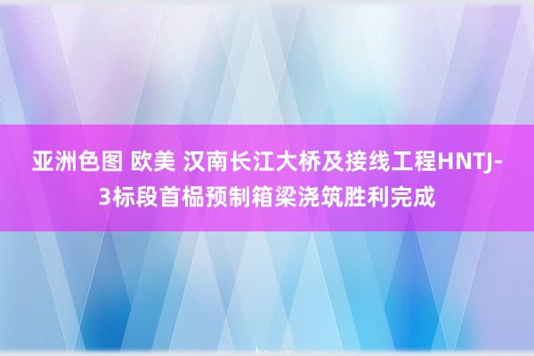 亚洲色图 欧美 汉南长江大桥及接线工程HNTJ-3标段首榀预制箱梁浇筑胜利完成