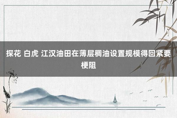 探花 白虎 江汉油田在薄层稠油设置规模得回紧要梗阻