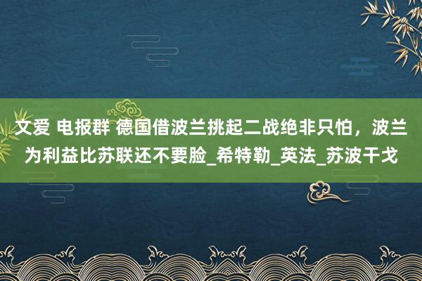 文爱 电报群 德国借波兰挑起二战绝非只怕，波兰为利益比苏联还不要脸_希特勒_英法_苏波干戈