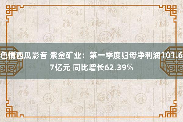 色情西瓜影音 紫金矿业：第一季度归母净利润101.67亿元 同比增长62.39%