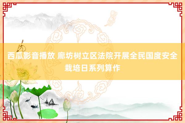 西瓜影音播放 廊坊树立区法院开展全民国度安全栽培日系列算作