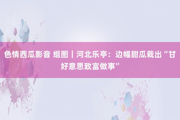 色情西瓜影音 组图｜河北乐亭：边幅甜瓜栽出“甘好意思致富做事”
