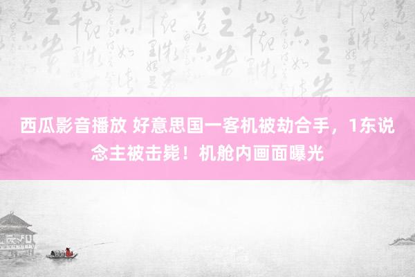 西瓜影音播放 好意思国一客机被劫合手，1东说念主被击毙！机舱内画面曝光