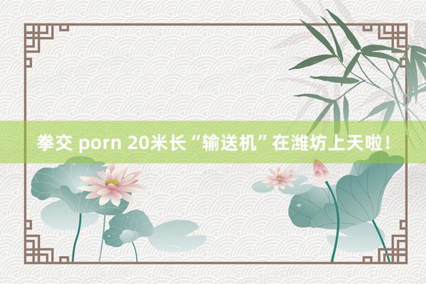 拳交 porn 20米长“输送机”在潍坊上天啦！