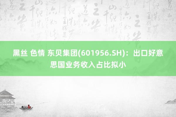 黑丝 色情 东贝集团(601956.SH)：出口好意思国业务收入占比拟小