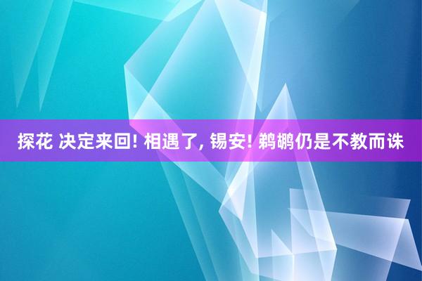 探花 决定来回! 相遇了， 锡安! 鹈鹕仍是不教而诛