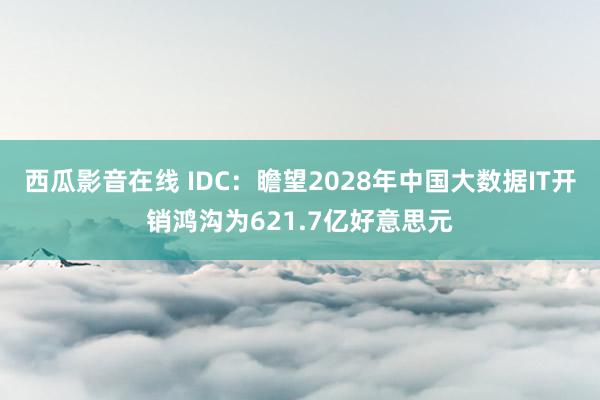 西瓜影音在线 IDC：瞻望2028年中国大数据IT开销鸿沟为621.7亿好意思元